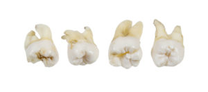 teeth health smile dentist baby